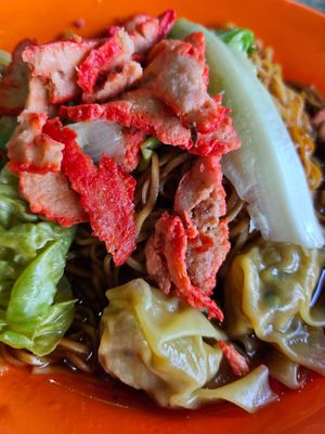 Wanton Noodle ~2/3/24 at Zhen Xin Vegetarian 真心素食 in Northeast Singapore