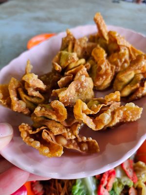 Fried Wanton ~2/3/24 at Zhen Xin Vegetarian 真心素食 in Northeast Singapore