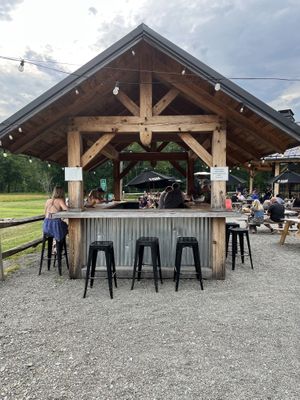   at Beer Tree Brew in Port Crane