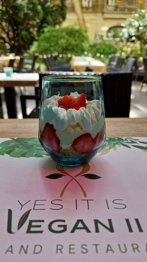  at Yes It Is Vegan II - Liszt Ferenc Tér in Budapest