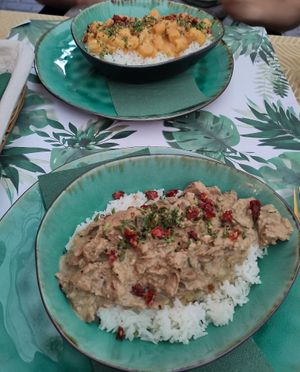 Paorika/chicken stew above and pulled pork stew below at Yes It Is Vegan II - Liszt Ferenc Tér in Budapest