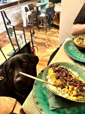   at Yes It Is Vegan II - Liszt Ferenc Tér in Budapest