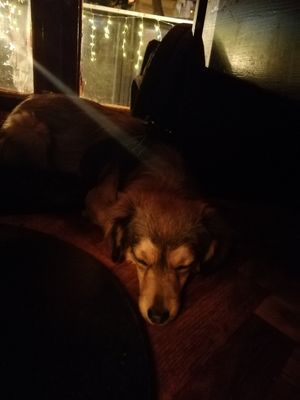  at Yes It Is Vegan II - Liszt Ferenc Tér in Budapest