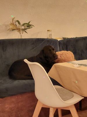  at Yes It Is Vegan II - Liszt Ferenc Tér in Budapest