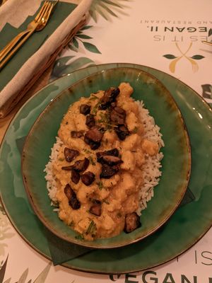 Mushroom chicken paprikash at Yes It Is Vegan II - Liszt Ferenc Tér in Budapest