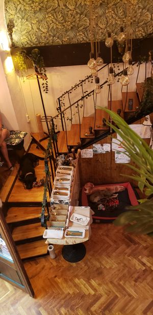 Interior viewed from upper floor at Yes It Is Vegan II - Liszt Ferenc Tér in Budapest