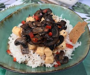 “Chicken” - Rice… very bland.. no flavor or spices… “chicken” was too tiny bits. Lacking sauce.  at Yes It Is Vegan II - Liszt Ferenc Tér in Budapest