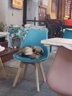  at Yes It Is Vegan II - Liszt Ferenc Tér in Budapest