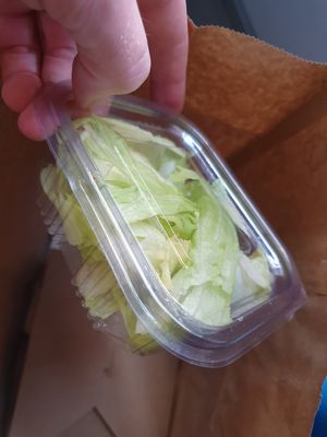 Why? at Yes It Is Vegan II - Liszt Ferenc Tér in Budapest