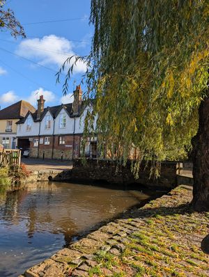  at The Dabbling Duck in Guildford