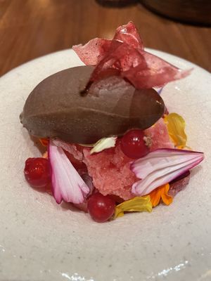 Chocolate and sorbet   at Encanto in Lisbon