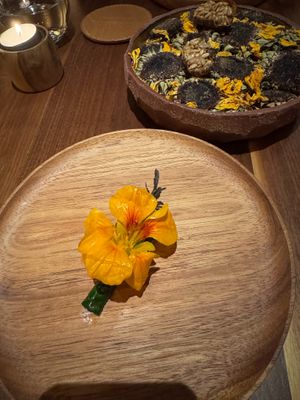  at Encanto in Lisbon