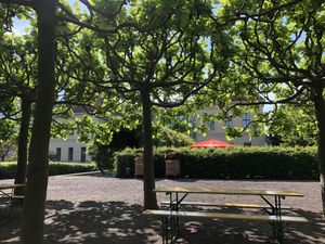 Outdoor seating  at The Museum Cafe in Berlin