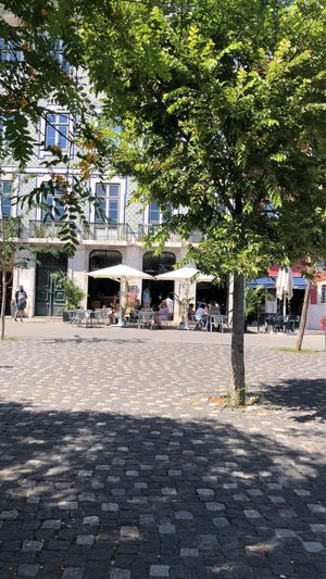   at Koa Bar in Lisbon