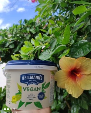  at Es Cactus in Menorca