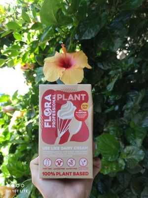  at Es Cactus in Menorca