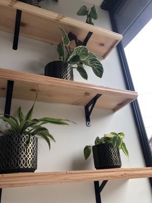   at Daylily Coffee Shop in Portland