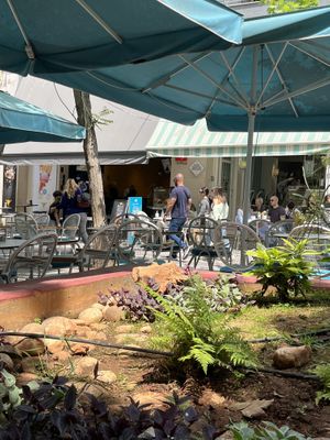 Patio  at Athens Vegan Burgers in Athens