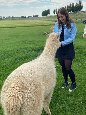 Dieren op de boerderij!  at Vakantieboerderij Huize Nuis in Noordbeemster