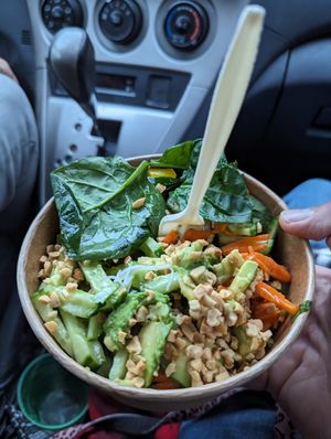 The vegan Thai bowl.. a little lacking at Tropical Blends in Belleville