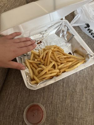 $10 for only this amount of fries. Kind of soggy but okay  at Mr. Veg'n in Houston