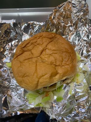 Soggy greasy burger at Mr. Veg'n in Houston