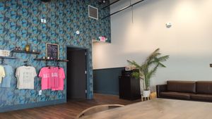 Interior at BARE Blends in Latham