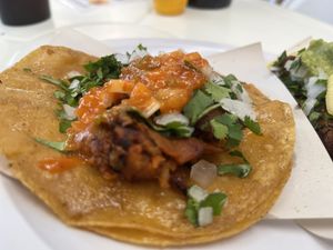 Birria, maybe my favorite  #Veganuary at Tacongo in Tijuana