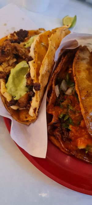 Quesataco and Birria Taco at Tacongo in Tijuana