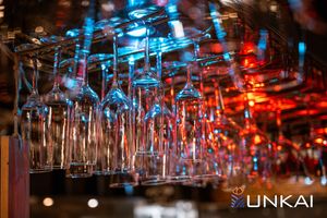 Die Unkai Bar ist ein Erlebnis für sich. Unsere Bar ist der place to be, für alle, die sich in der Welt Zuhause fühlen. at Unkai - Asia Fusion Restaurant & Bar in Freiburg