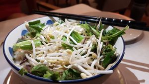 Vegan Phó made right is a delicious, nutritious, healthy and medicinal meal of tastebud heaven 🙏❤ at Ken Vegetarian and Coffee in Hoi An