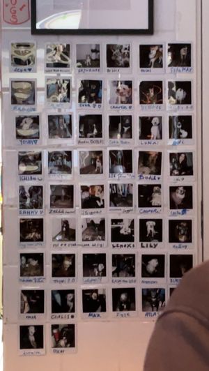   at Bar Kaja in Stockholm