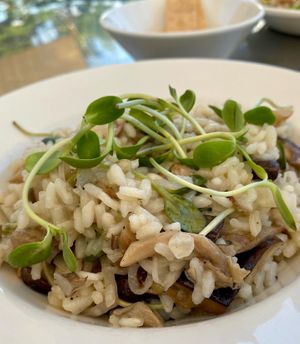 Oyster mushroom risotto   at Glasshalfull in Carrboro
