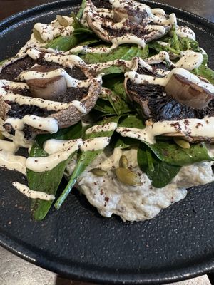 Mushroom   at Damascus in Wellington