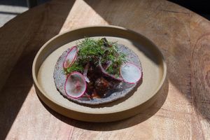 Barbacoa Mushroom Bowl at Padrón in Oakland