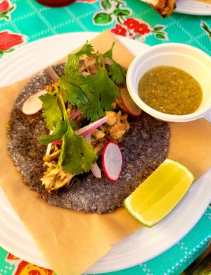Grilled Maitake Mushroom taco at Padrón in Oakland