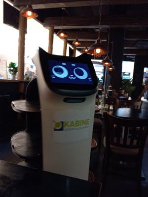 Die Bestellung wurde mit dem Roboter an den Tisch gebracht at KABINE Restaurant in Essen