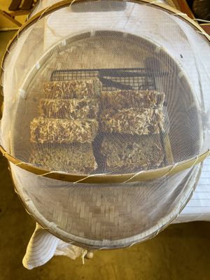 Banana bread was delicious!  at Chickpea Eatery Thuan Chay in Hoi An