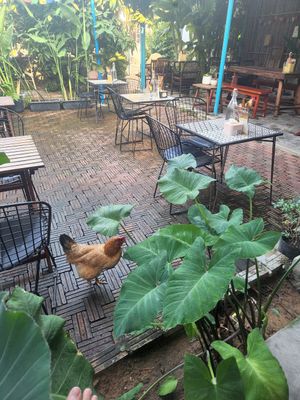  at Chickpea Eatery Thuan Chay in Hoi An