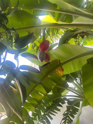  at Chickpea Eatery Thuan Chay in Hoi An