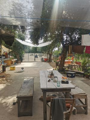  at Filía Laundry Shop & More in Zaharo