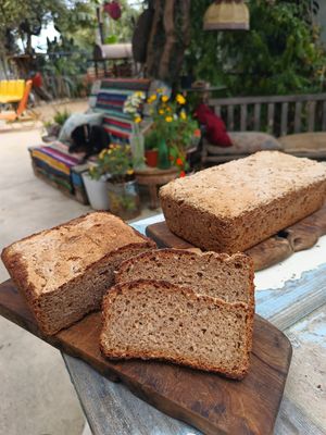 Home made 5 grains bread 🍞 at Filía Laundry Shop & More in Zaharo