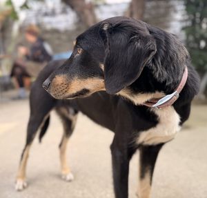   at Filía Laundry Shop & More in Zaharo