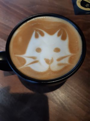  at Java Whiskers Cat Café in Stockholm