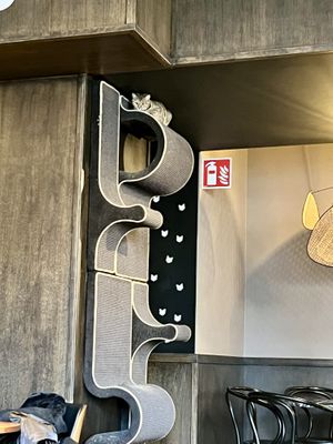   at Java Whiskers Cat Café in Stockholm