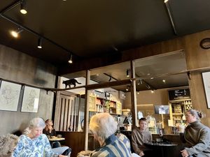   at Java Whiskers Cat Café in Stockholm