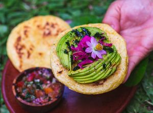  at Casa Curandera Bali in Ubud