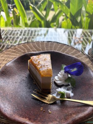   at Casa Curandera Bali in Ubud