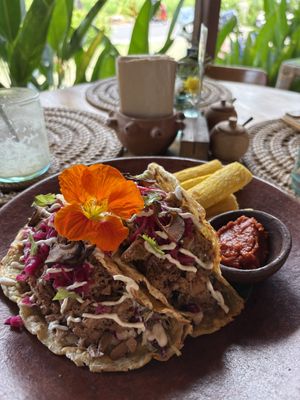   at Casa Curandera Bali in Ubud