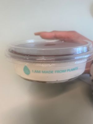  at To O So - 토오소  - Maybe closed in Jeju